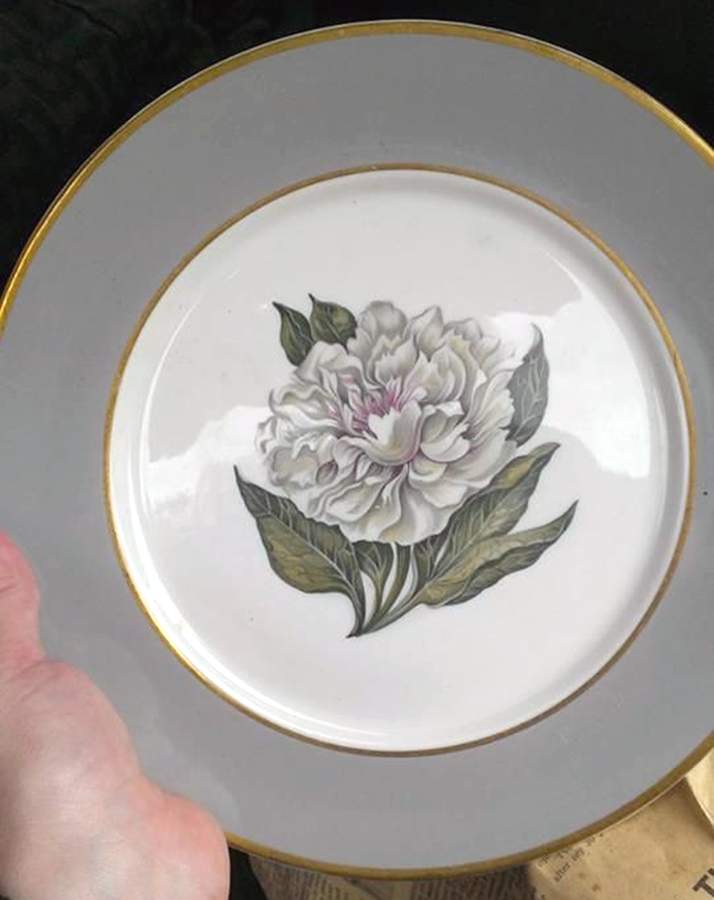 ROJ302 Dinner Plate by Royal Jackson-1