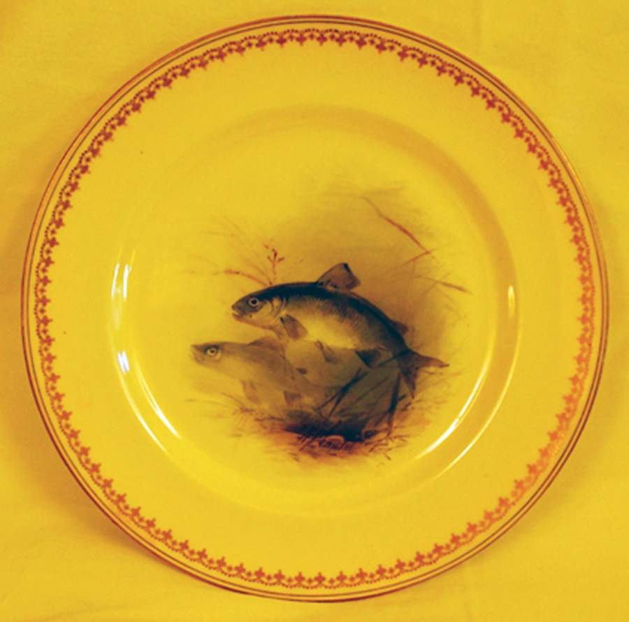 HB5558 Salad Plate by Royal Doulton-1