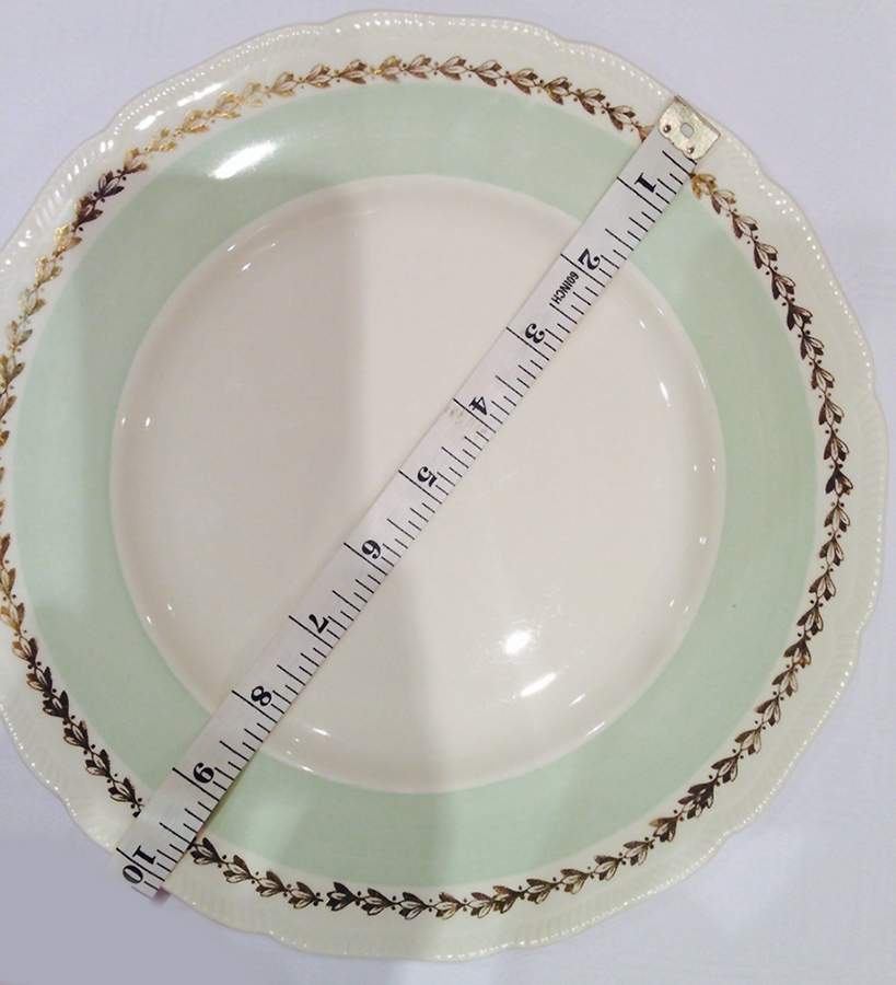 RSN23 Dinner Plate by Royal Swan-1