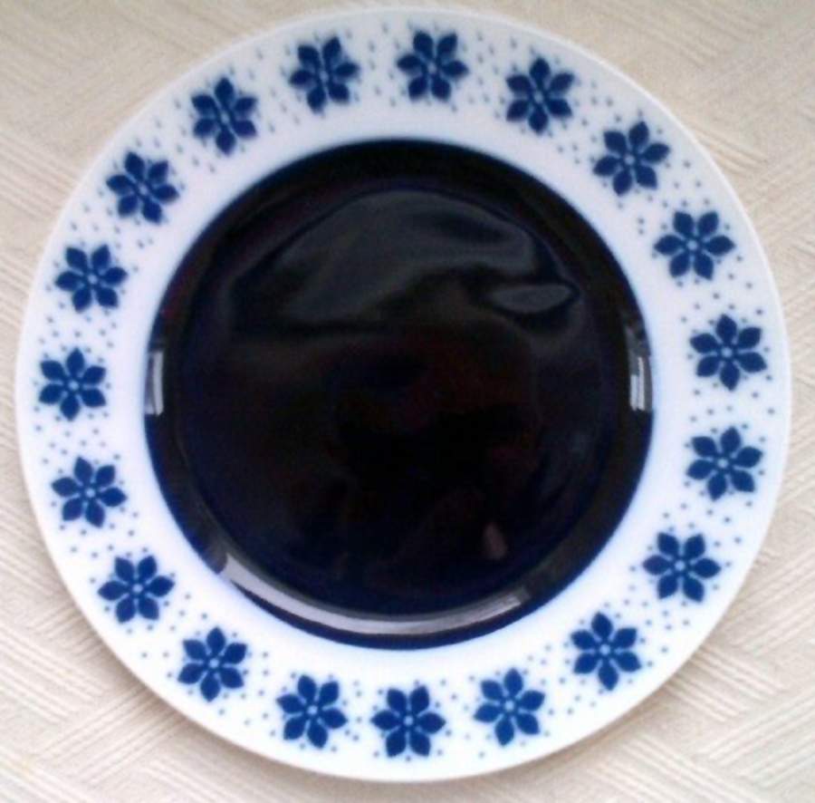 R1982 Dinner Plate by Rosenthal - Continental-1