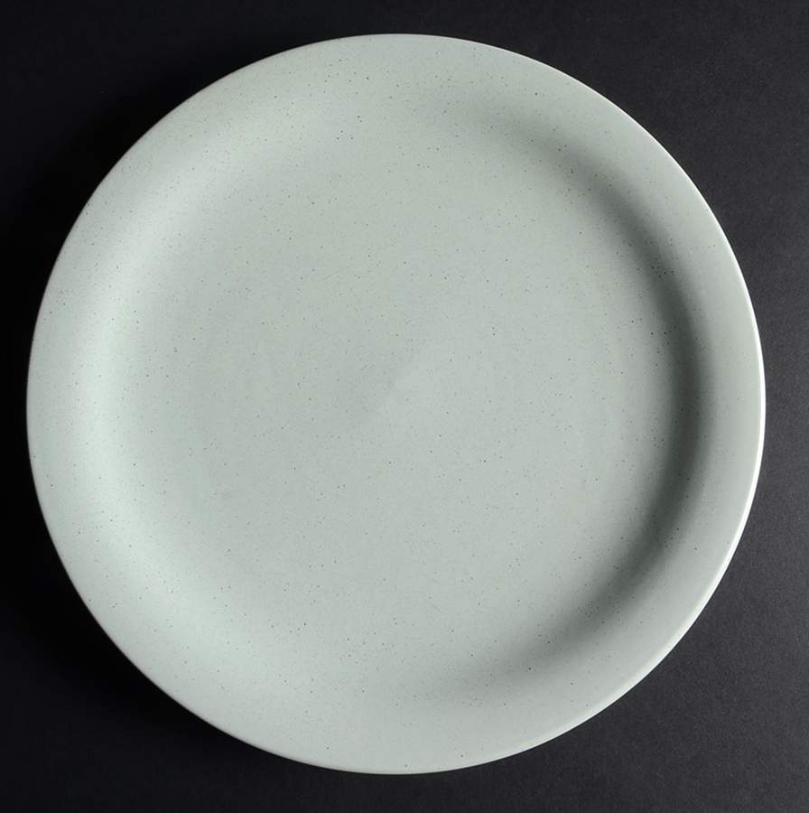 Tempo Sage Dinner Plate by Retroneu-1