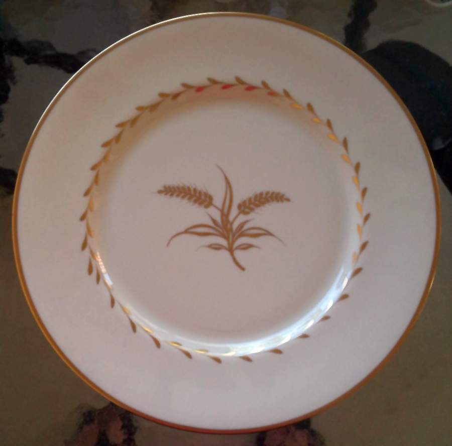 RDA35 Dinner Plate by Rosedale-1