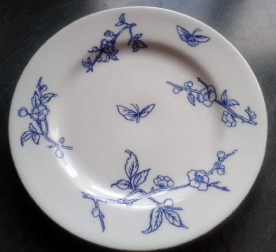 RW308 Dinner Plate by Royal Worcester-1