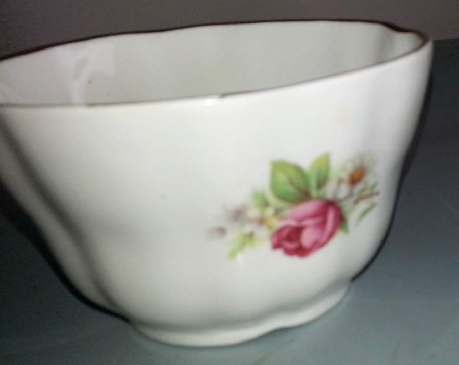 RTA54 Open Sugar Bowl by Royal Tara-1