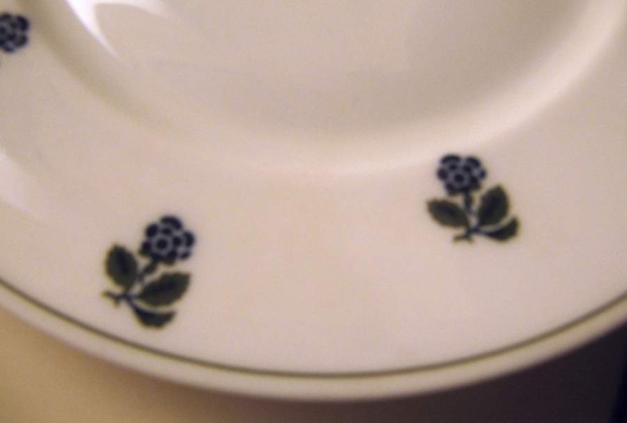 R2778 Bread & Butter Plate by Rosenthal - Continental-1