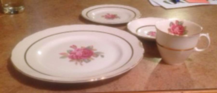 RSN24 Dinner Plate by Royal Swan-1