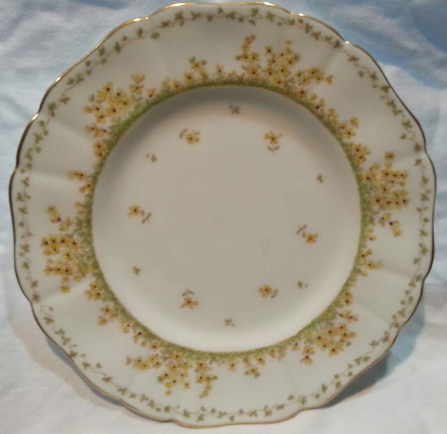 K8841 Luncheon Plate by Royal Cauldon-1