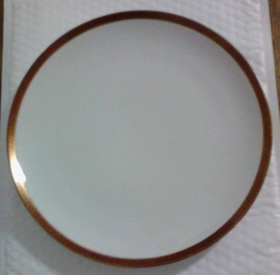 ROT329 Dinner Plate by Royal Tettau-1