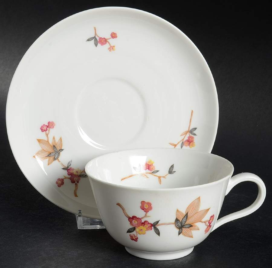 R2993 Flat Cup & Saucer Set by Rosenthal - Continental-1