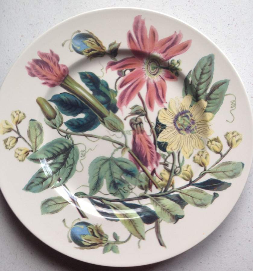 Jardin (Floral Center) Dinner Plate by Royal Stafford-1