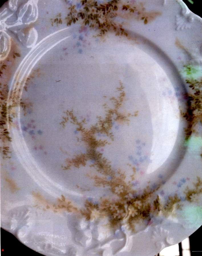 R3001 Dinner Plate by Rosenthal - Continental-1