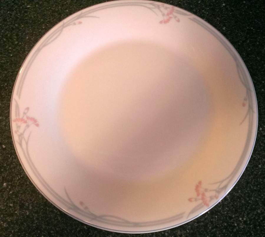 Carnation (No Verge) Dinner Plate by Royal Doulton-1