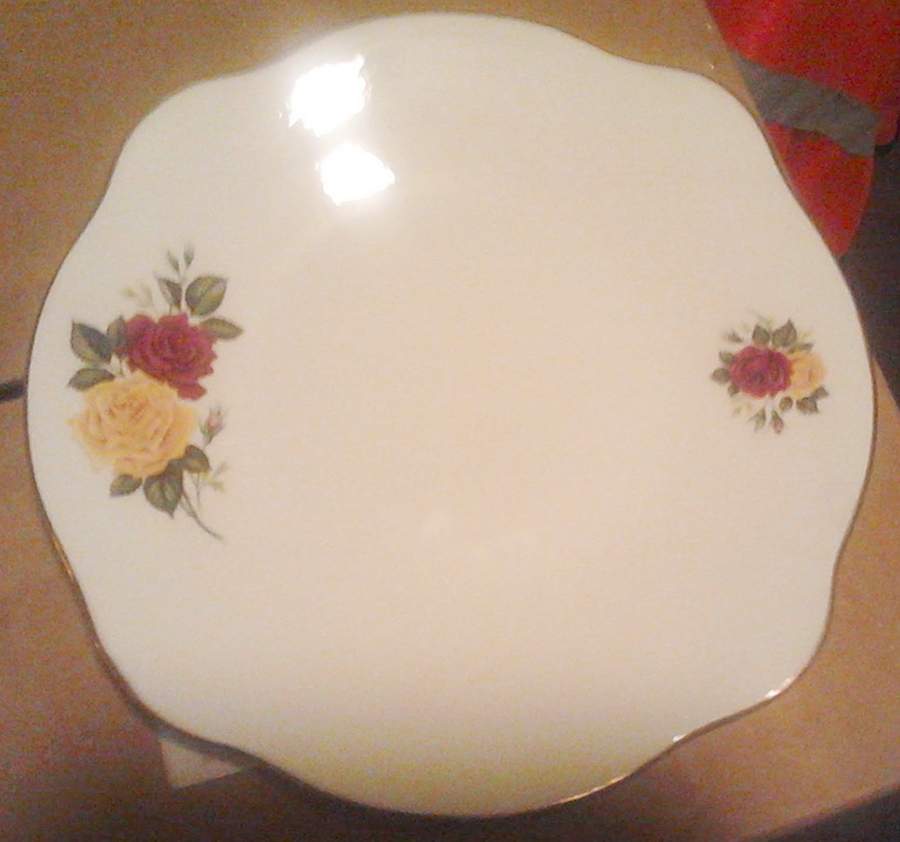 RTA58 Dinner Plate by Royal Tara-1