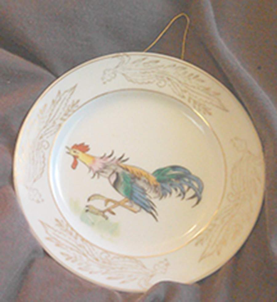 RSS6 Wall Plate by Rossetti-1