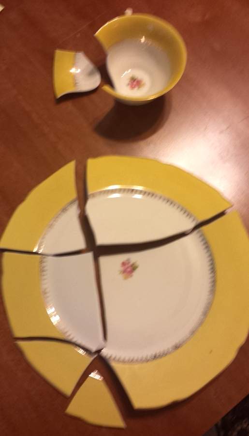 RMZ16 Dinner Plate by RM Czechoslovakia-1