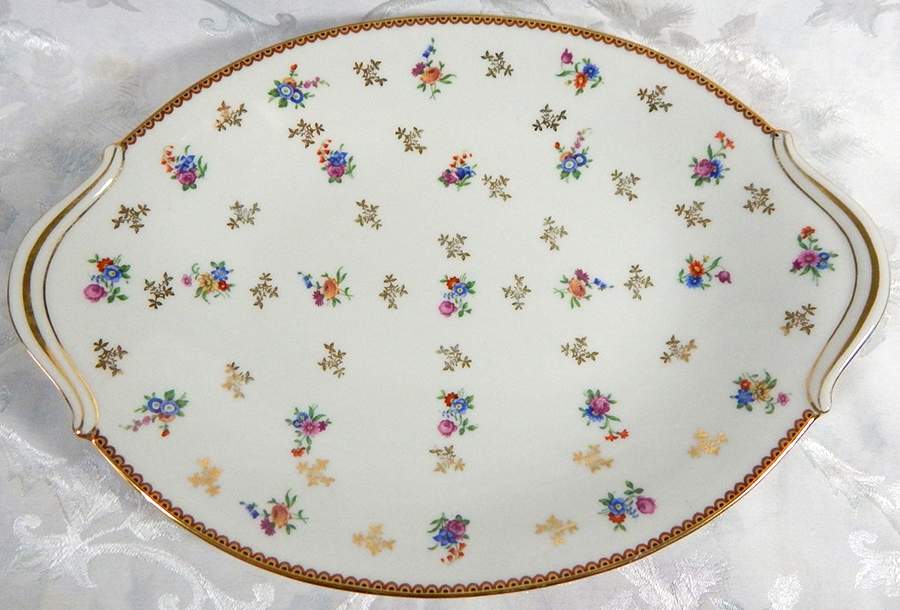 RYD109 14" Oval Serving Platter by Raynaud-1