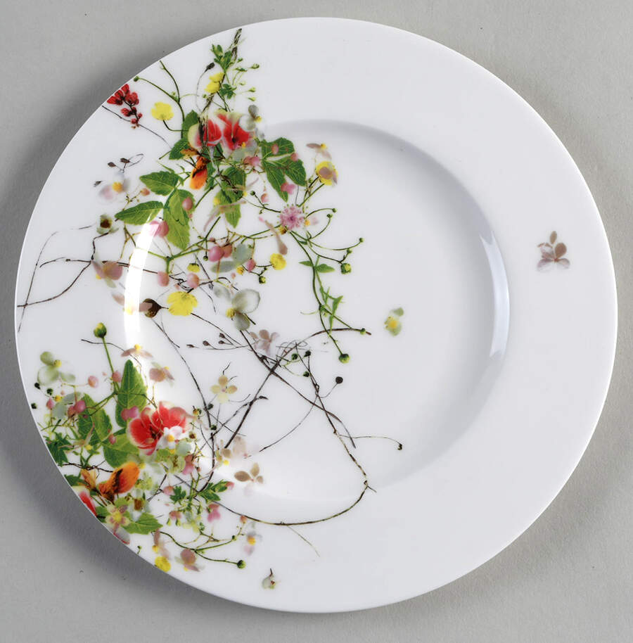 Fleurs Sauvages Bread & Butter Plate by Rosenthal - Continental-1