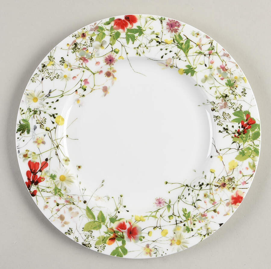 Fleurs Sauvages Salad Plate by Rosenthal - Continental-1