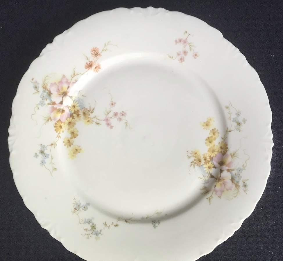 R707 (No Trim) Luncheon Plate by Rosenthal - Continental-1