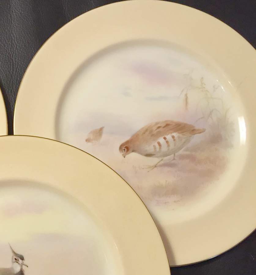 E6048 Luncheon Plate by Royal Doulton-1