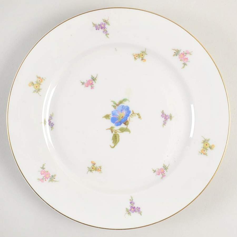 5162 Salad Plate by Rosenthal - Continental-1