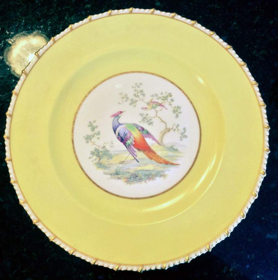 A328 Dinner Plate by Royal Crown Derby-1