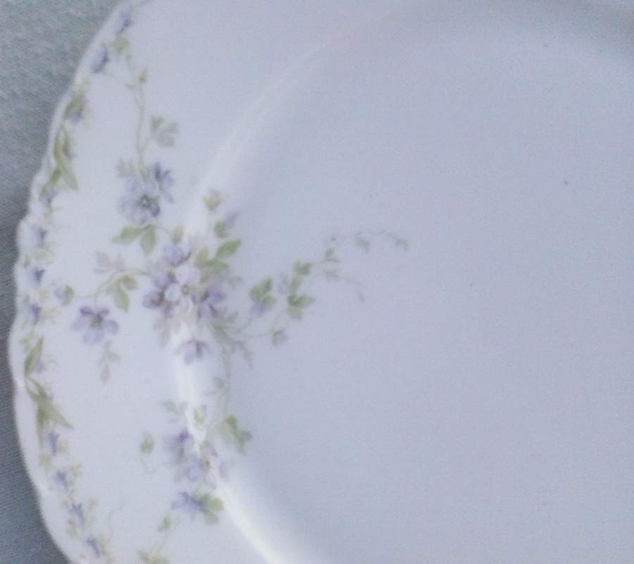 R3042 Dinner Plate by Rosenthal - Continental-1