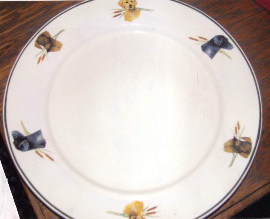 RGP5 Dinner Plate by Rivers Edge Products-1