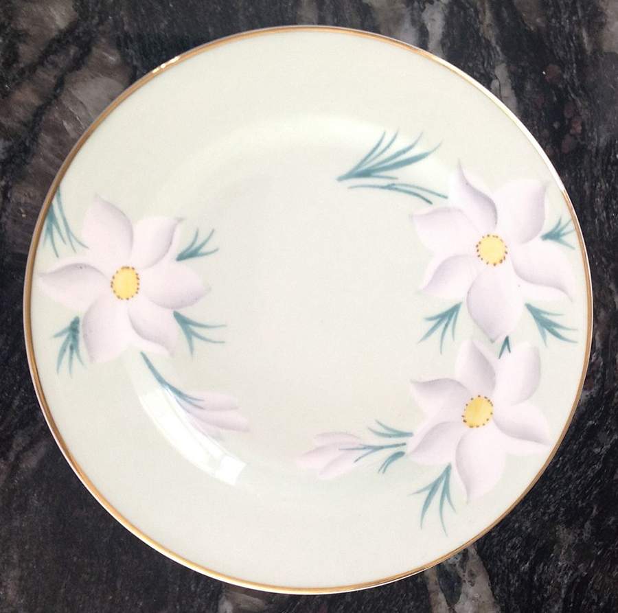RGR160 Dinner Plate by Royal Grafton-1