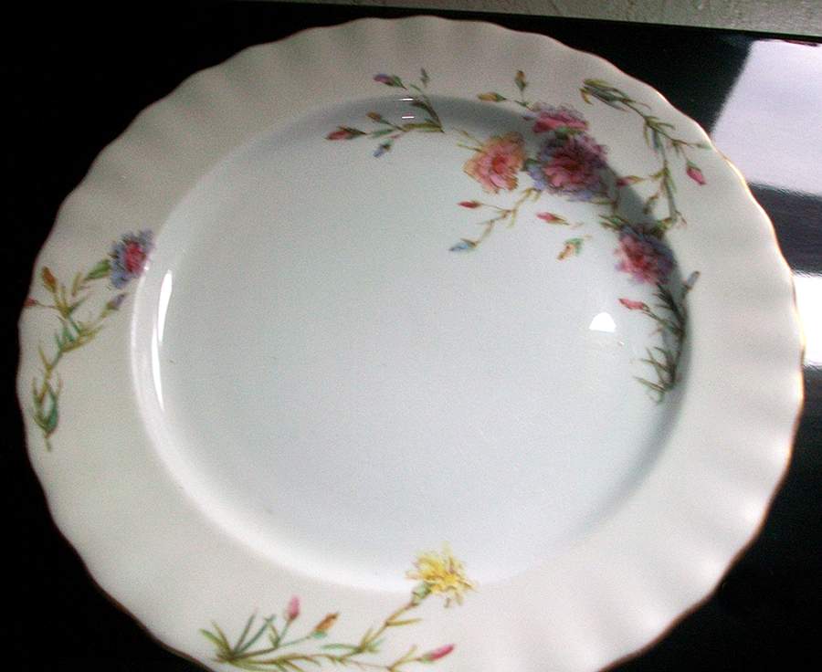 C3535 Dinner Plate by Royal Doulton-1