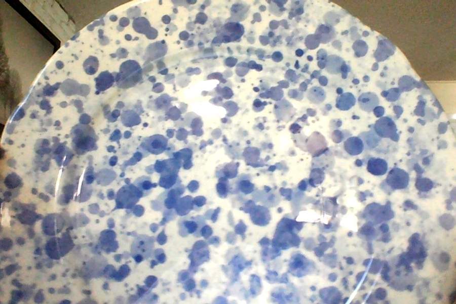 RST250 Dinner Plate by Royal Stafford-1