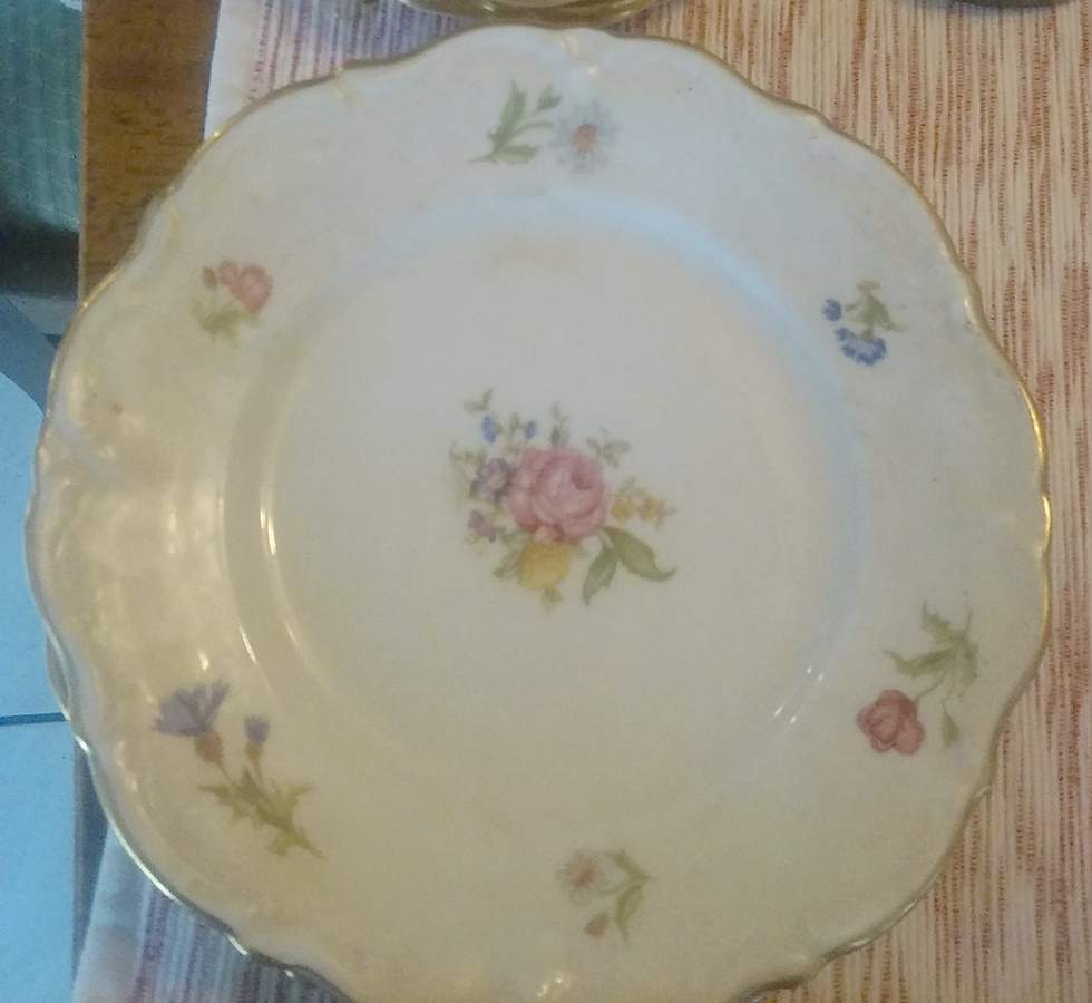 Mignon Dinner Plate by Royal M (Bavaria)-1
