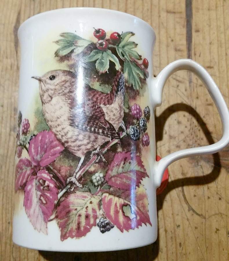 Autumn Hedgerow Mug by Roy Kirkham-1