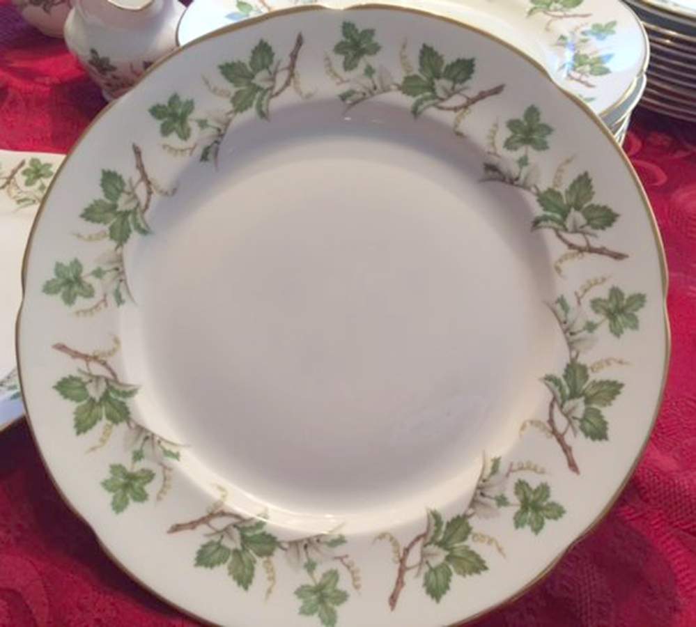 RTA65 Dinner Plate by Royal Tara-1