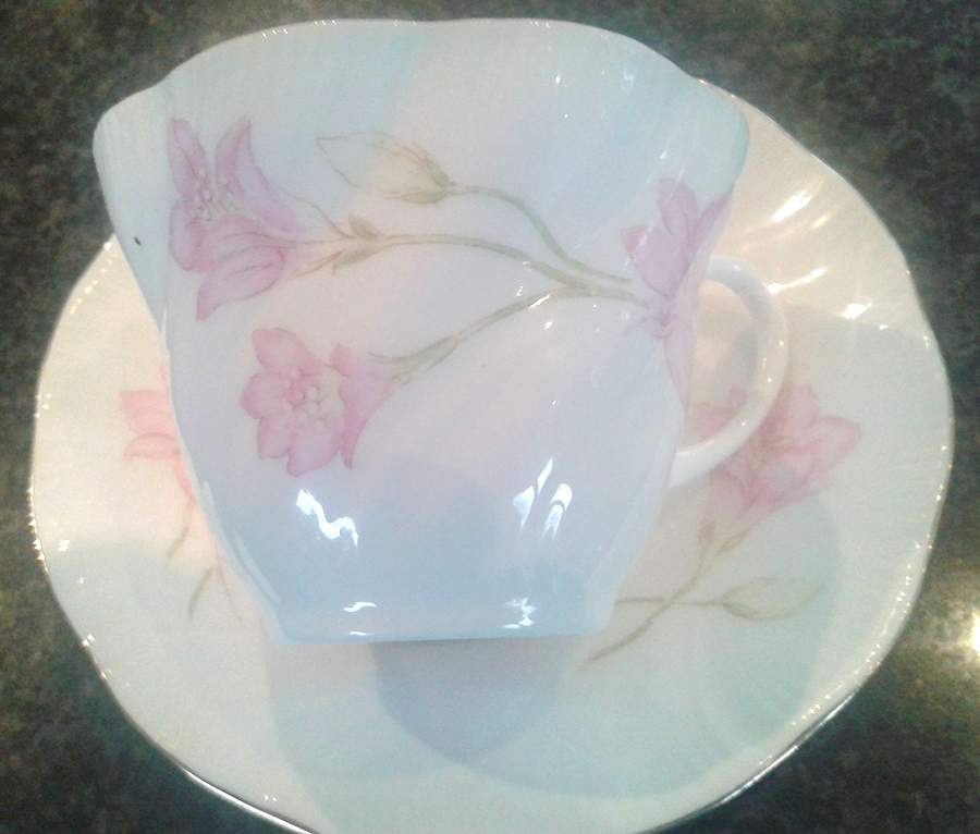 RIA113 Flat Cup & Saucer Set by Rosina-Queens-1