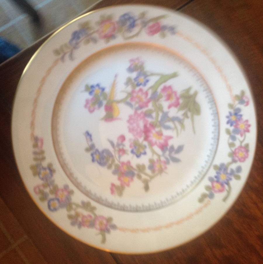 R3063 Dinner Plate by Rosenthal - Continental-1