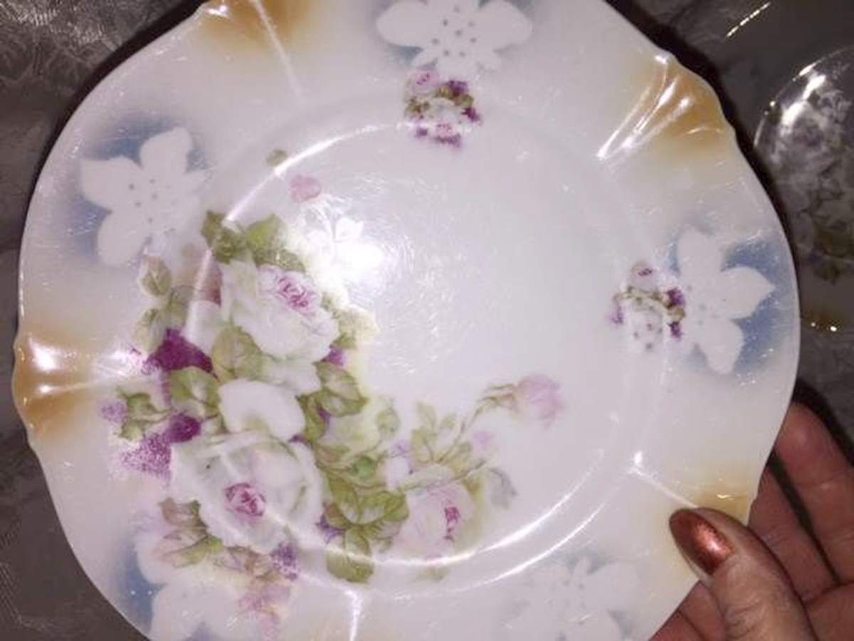 ROB498 Dinner Plate by Royal Bayreuth-1