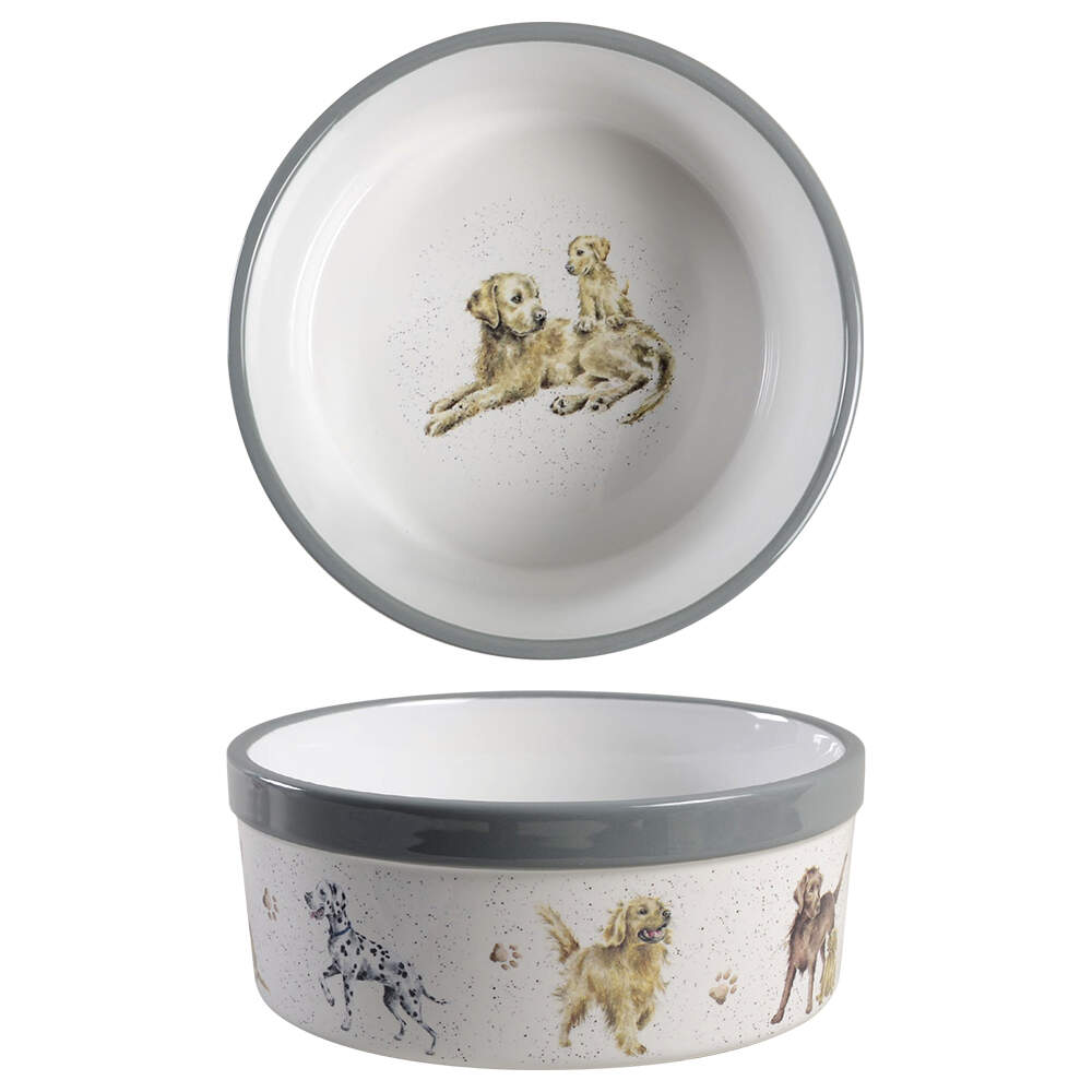 Wrendale Designs Pet Bowl by Royal Worcester-1