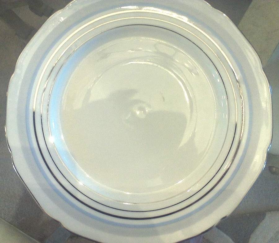 RMZ17 Dinner Plate by RM Czechoslovakia-1