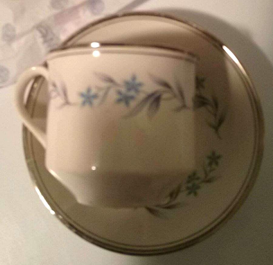 Richmond Flat Cup & Saucer Set by Ridgway (Ridgways)-1