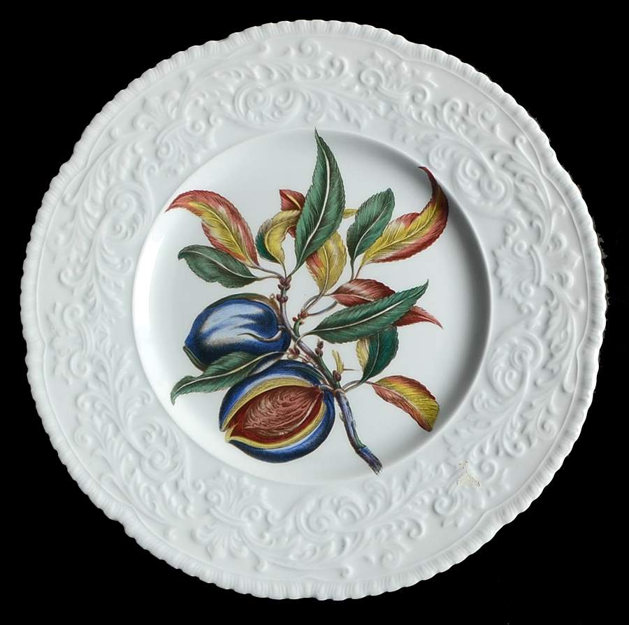 Haywood (Fruit) Dinner Plate by Royal Cauldon-1