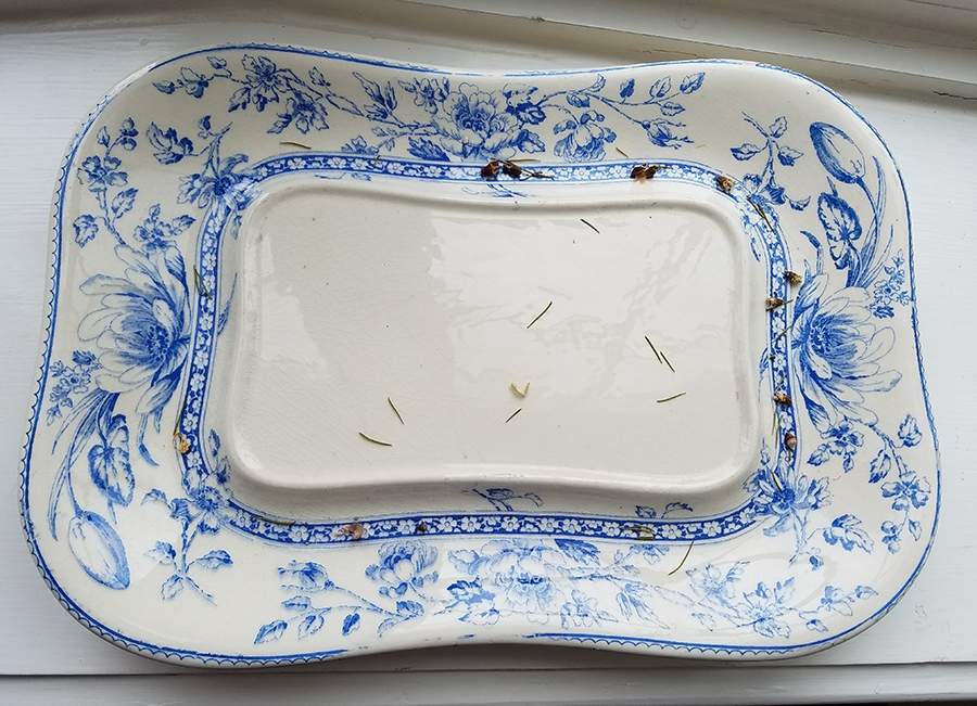 Oxford Underplate for Tureen by Royal Doulton-1
