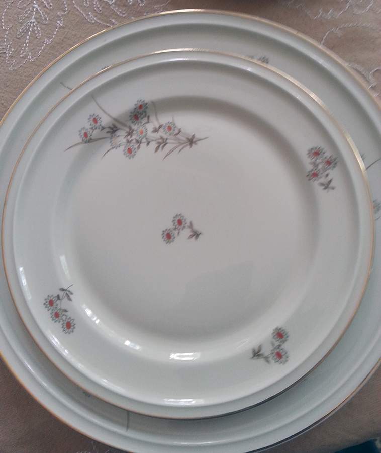 R3105 Dinner Plate by Rosenthal - Continental-1