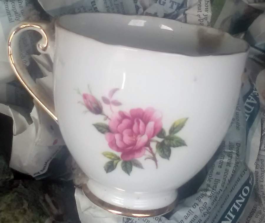 1931 Footed Cup by Royal Grafton-1