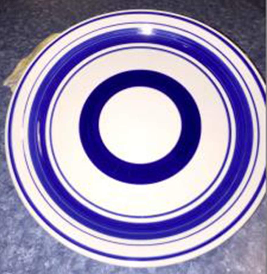 RNF117 Dinner Plate by Royal Norfolk-1