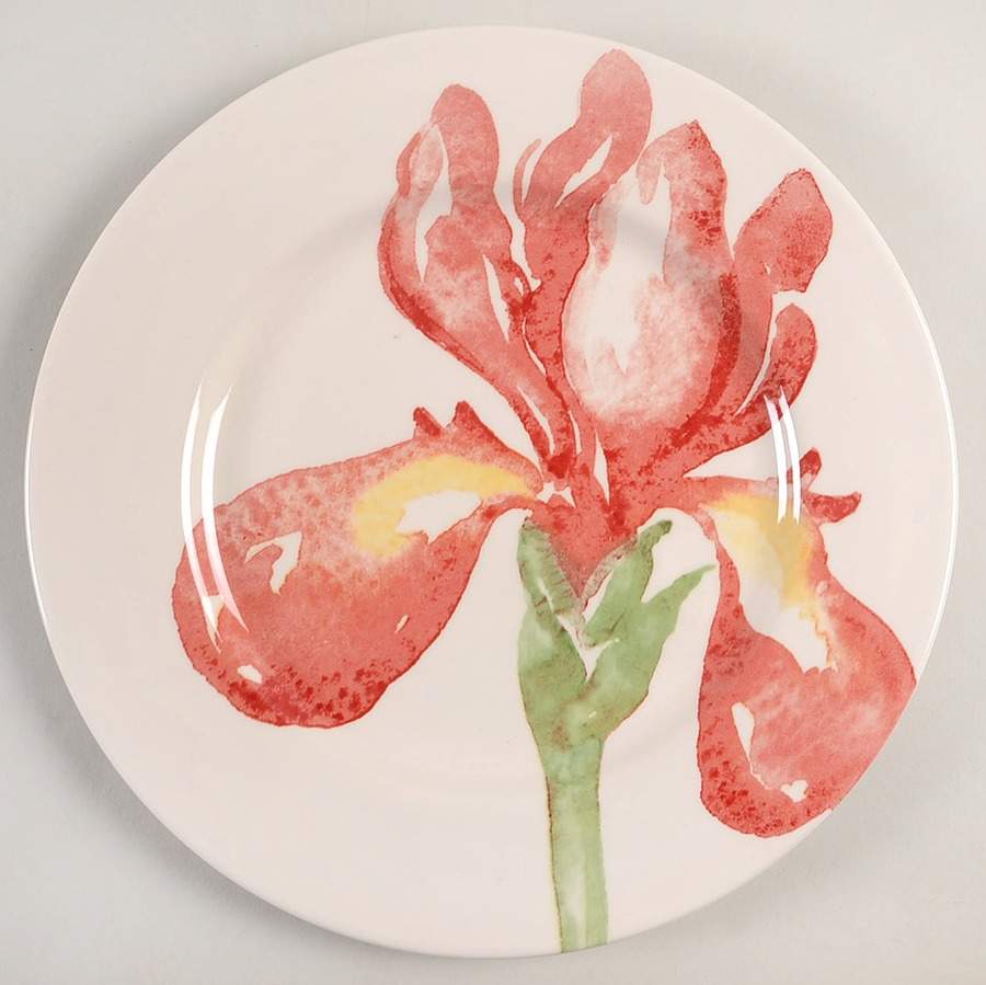 Red Iris Dinner Plate by Royal Stafford-1