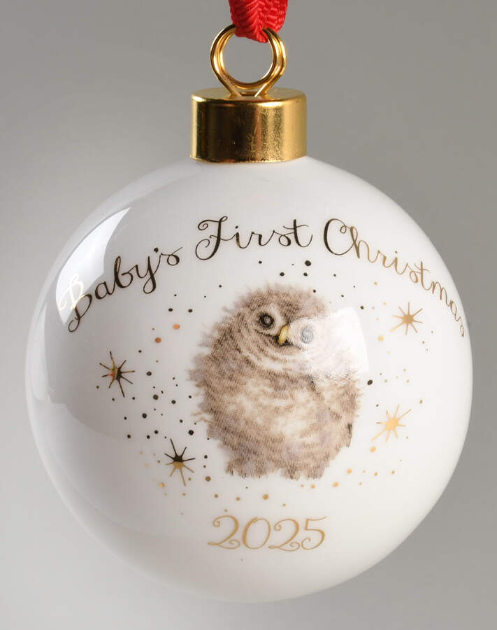 Wrendale Designs Christmas 2025 Baby's First Christmas Bauble Ornament by Royal Worcester-1
