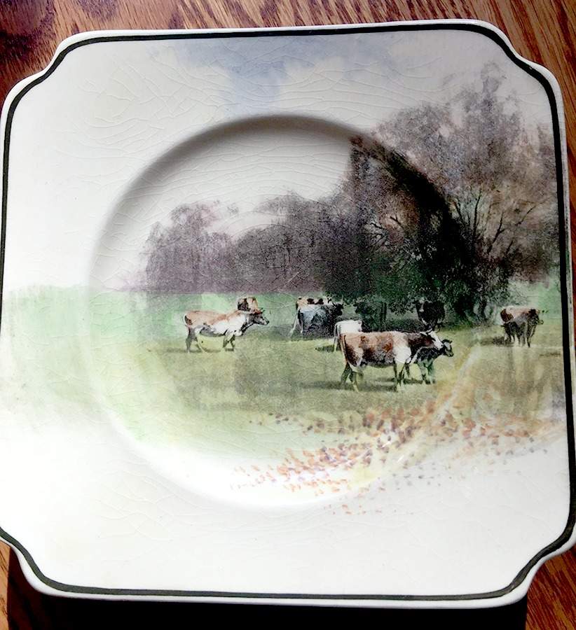 New Zealand Views A Square Bread & Butter Plate by Royal Doulton-1
