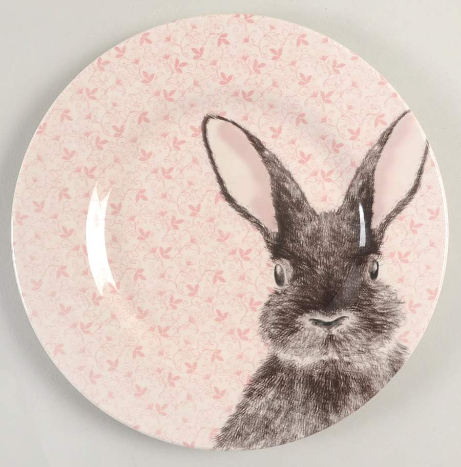 Chintz Rabbit Pink Salad Plate by Royal Stafford-1