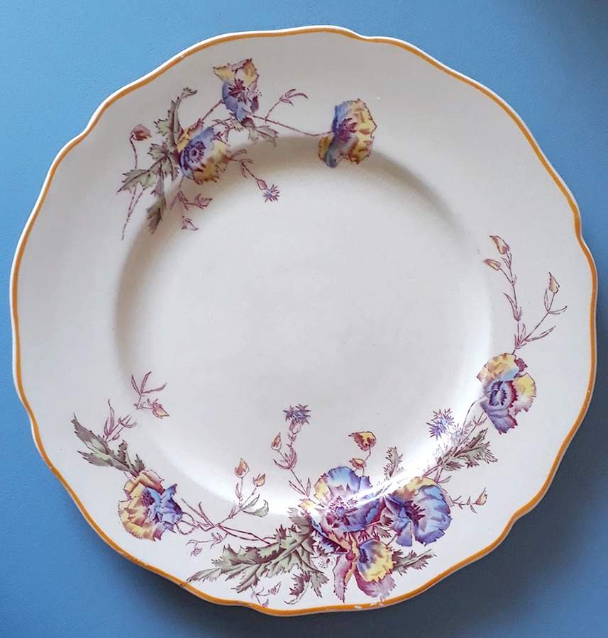 D6269 Dinner Plate by Royal Doulton-1
